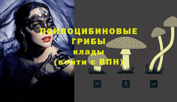прущая мука Гусиноозёрск