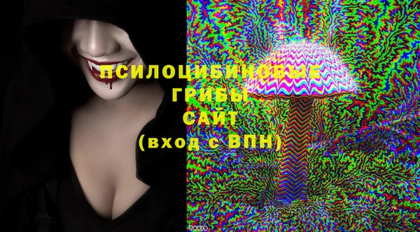 прущая мука Гусиноозёрск
