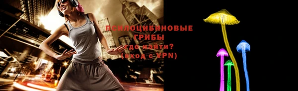 молекула духа Гусь-Хрустальный